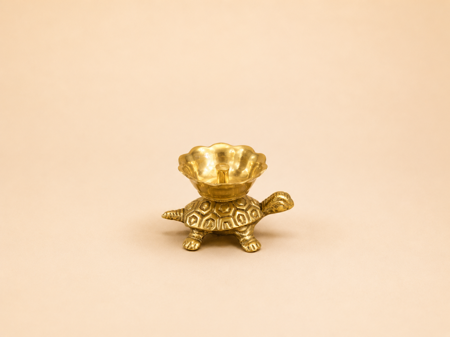 TORTORISE NANDA DHOOP DANI(SMALL) 